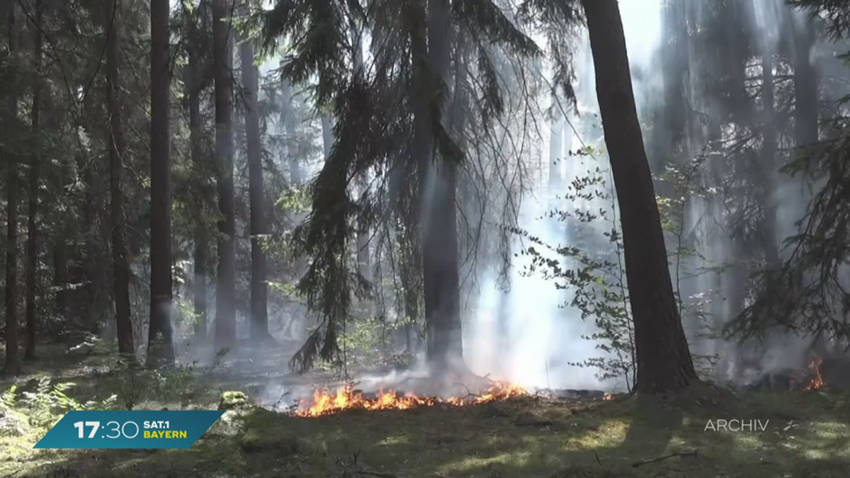 Ungewöhnlich heiße Temperaturen: Waldbrandgefahr in der Oberpfalz