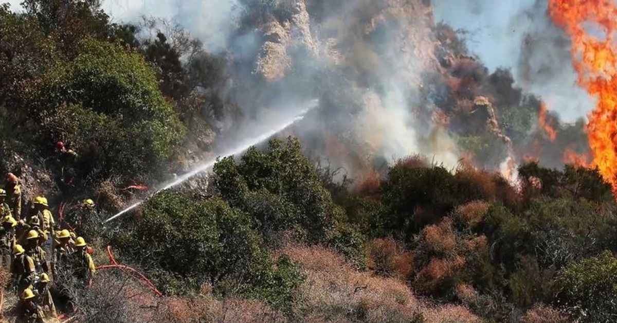 Heftige Waldbrände in Kalifornien: Diese Promis sind betroffen