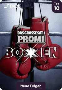 Das große SAT.1 Promiboxen