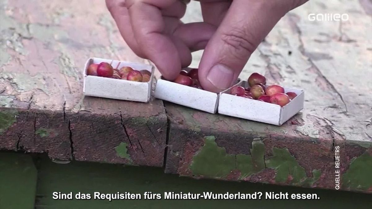 Clips der Woche: Die kleinsten Äpfel der Welt und der Roboter Messias