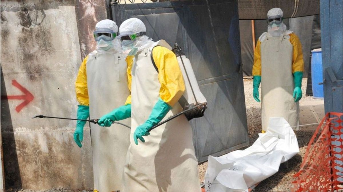 Hochansteckend und tödlich: WHO gibt Ausbruch von Marburg-Virus bekannt