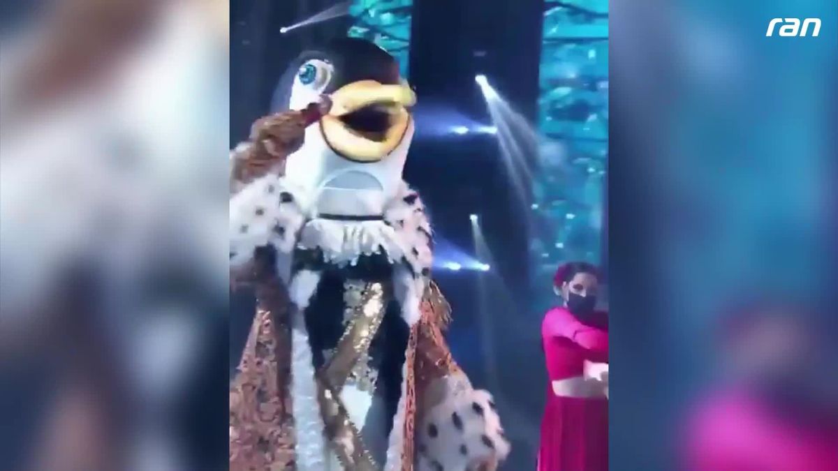 Reina Masked Singer