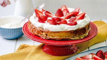 Maiskuchen mit Keksboden