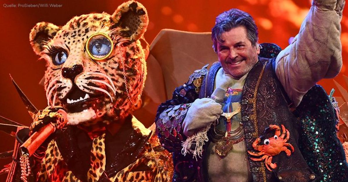 Alle Enthüllungen vom "The Masked Singer"-Finale