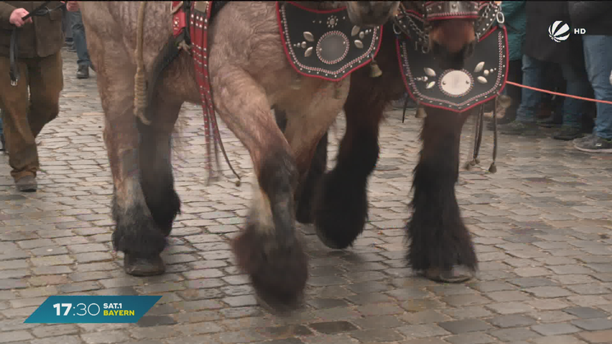 Berchinger “Rossmarkt”: Feststimmung und Landwirte-Forderung