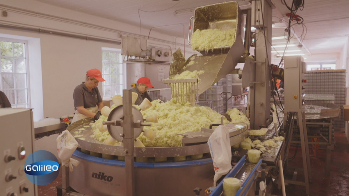 Masse mit Klasse Sauerkraut: Größter Hersteller der Nation vs. kleine Manufaktur