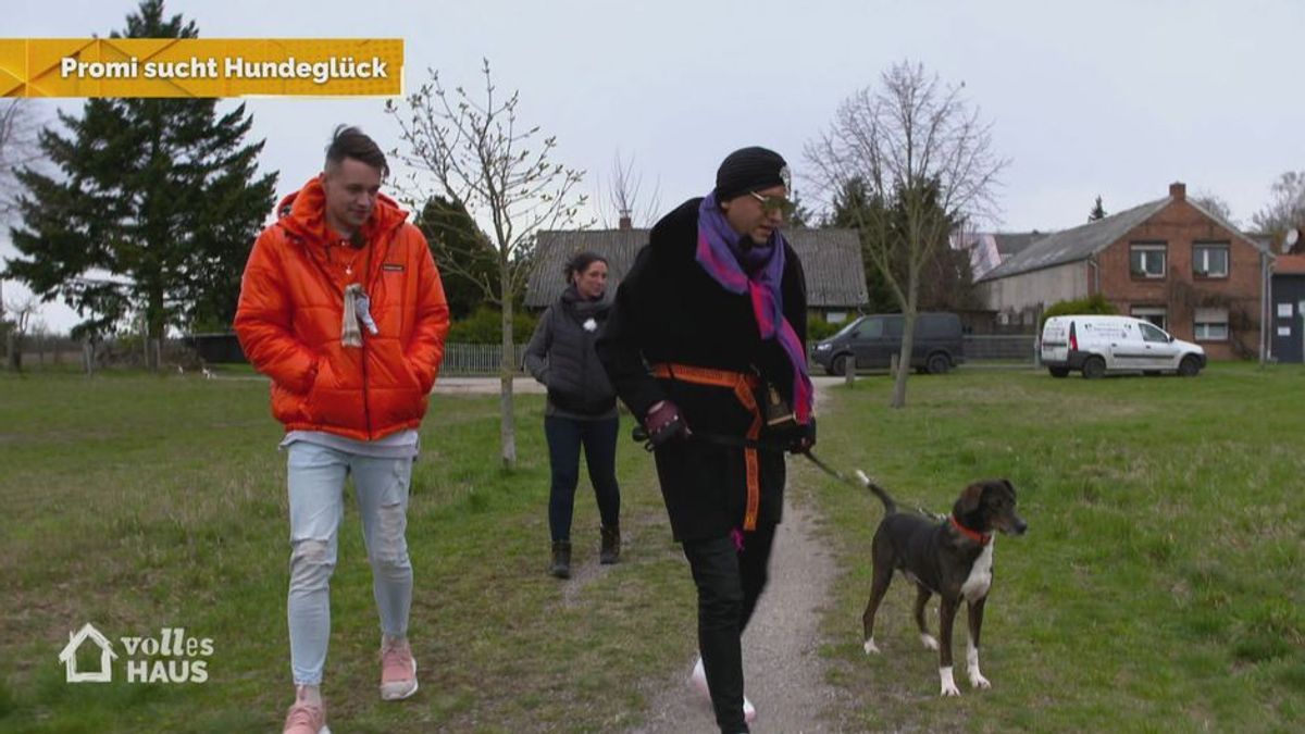 Promi sucht Hundeglück: Folge 1 