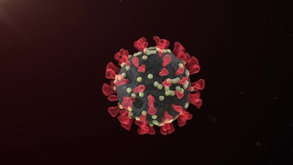 Ursprung von Sars-CoV-2: Forscher findet gelöschte Coronavirus-Sequenz in der Cloud