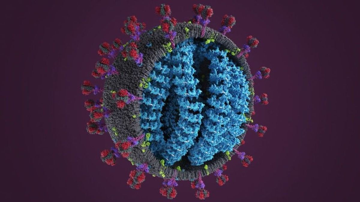 Das ist bislang über die neue Coronavirus-Variante Omikron bekannt