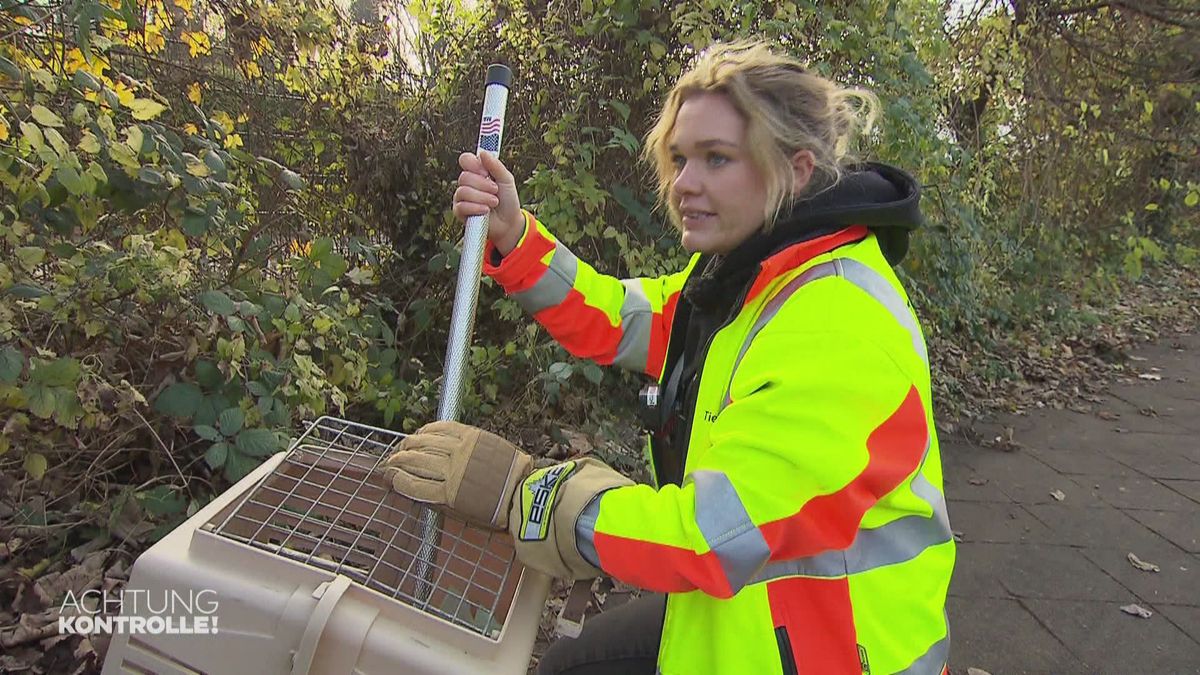 Coco vom Tiernotruf Düsseldorf - Wie fängt man ein Nutria?