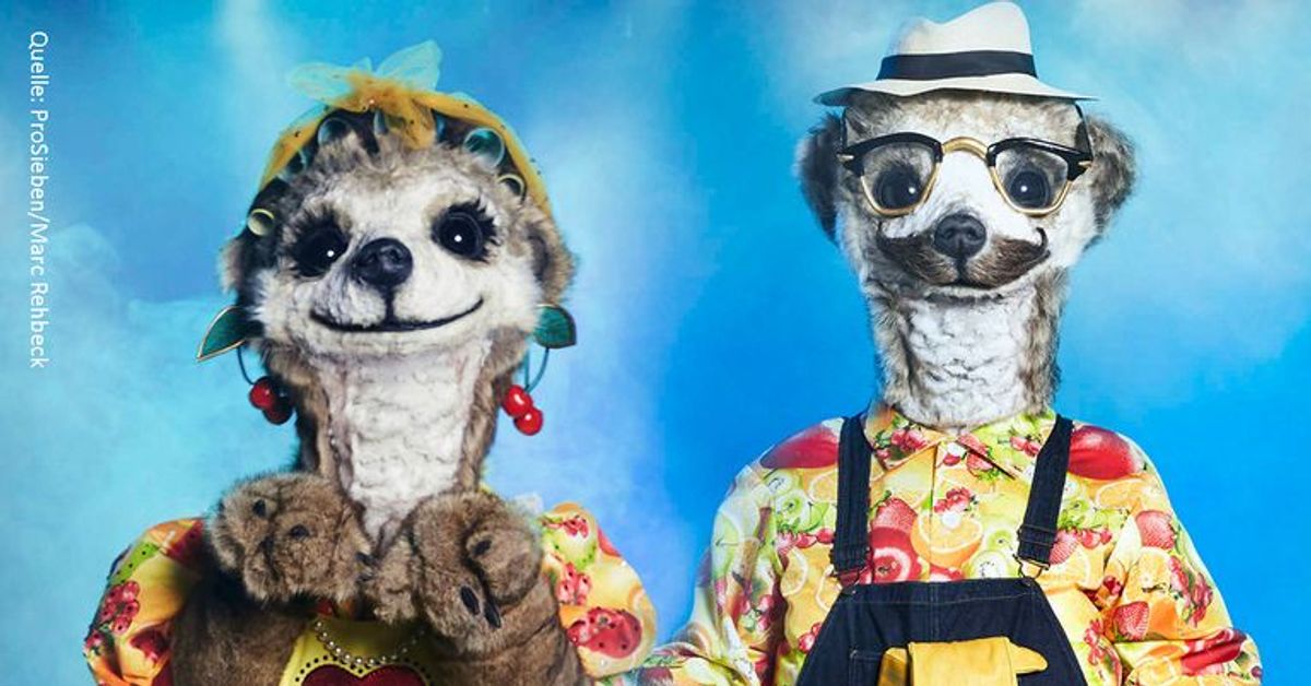 Das gab es noch nie bei "The Masked Singer": Wer steckt unter dem Doppelkostüm der Erdmännchen?