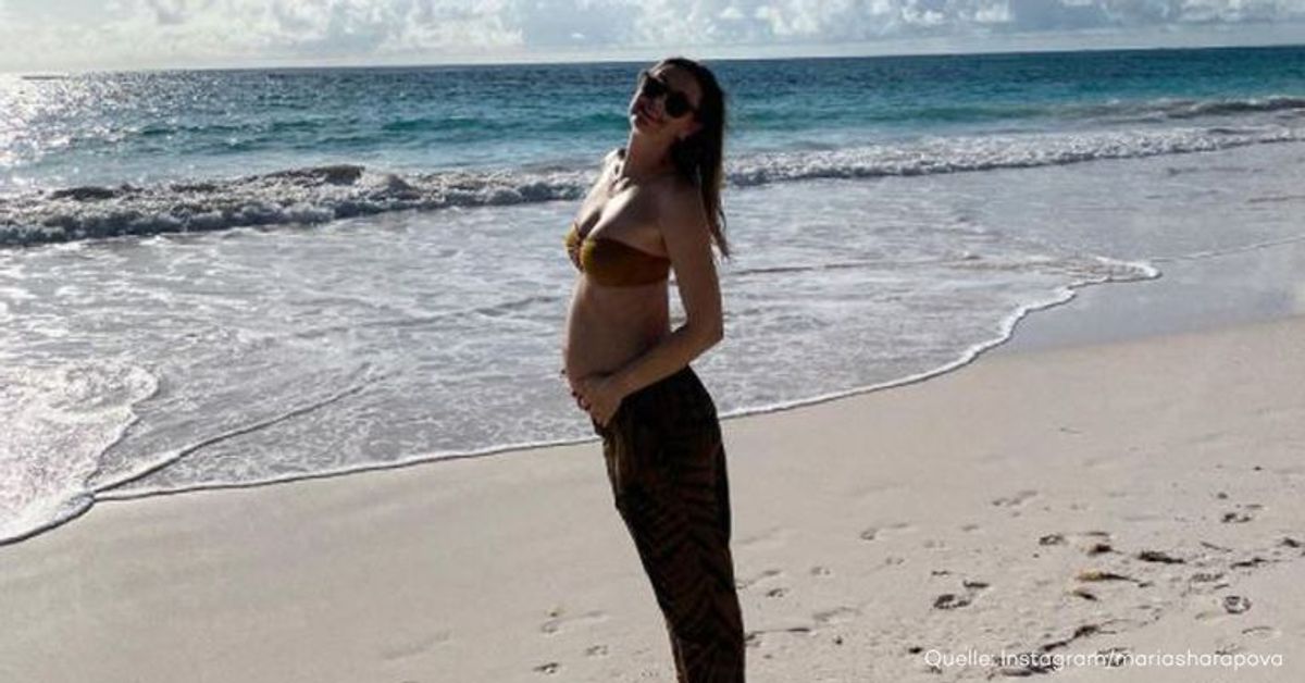 Ex-Tennisstar Scharapowa schwanger: Erstes Bild mit Babybauch