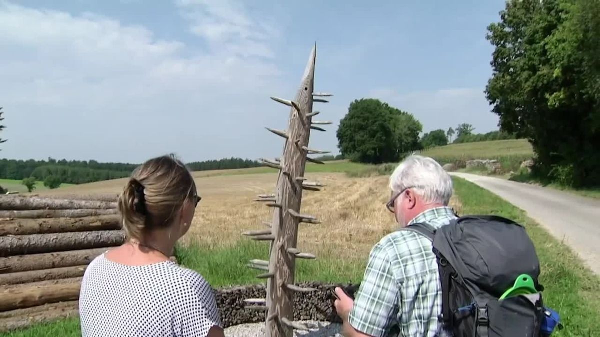 Die Sendung vom 31.07.2021