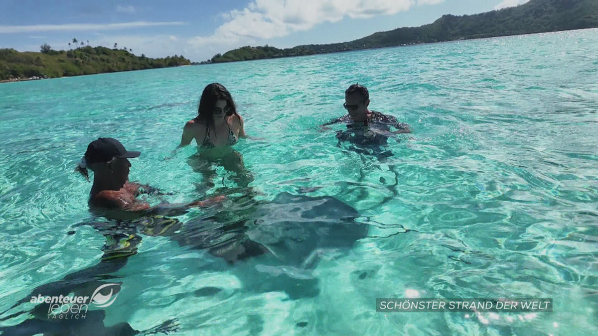 Leben im Paradies: Bora Bora zwischen Traumstrand und harter Arbeit