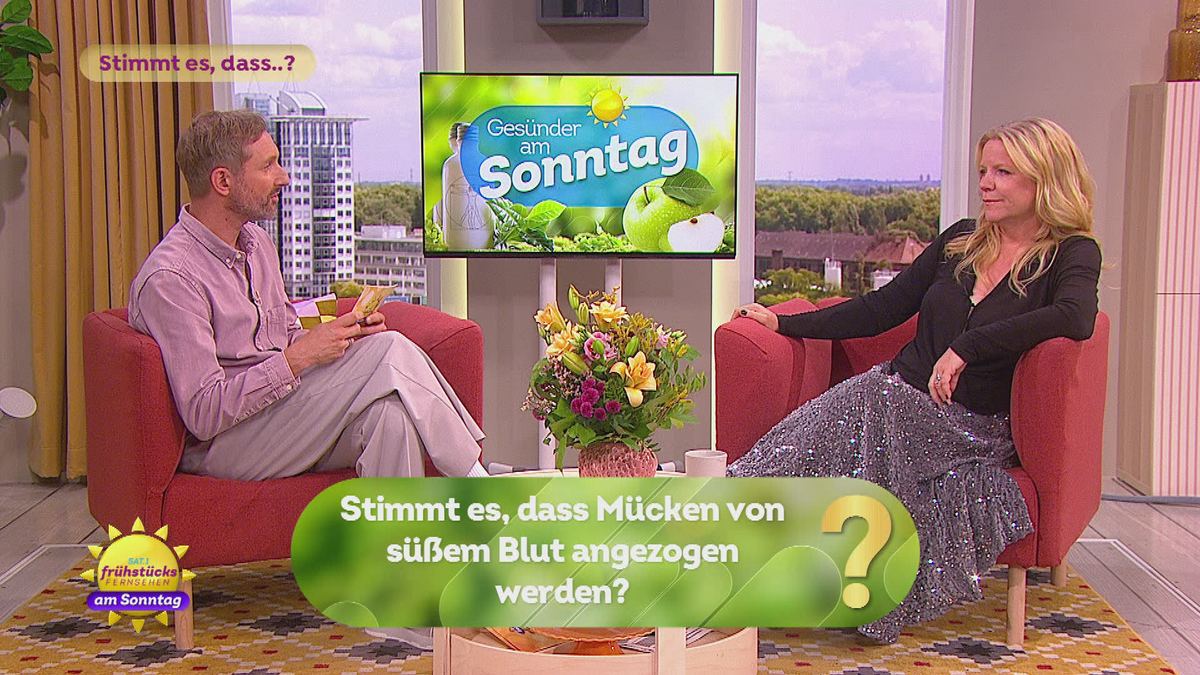 "Stimmt es, dass…?": Die wichtigen Fragen im Sommer