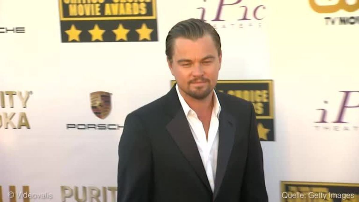 Die Evolution des Leonardo DiCaprio