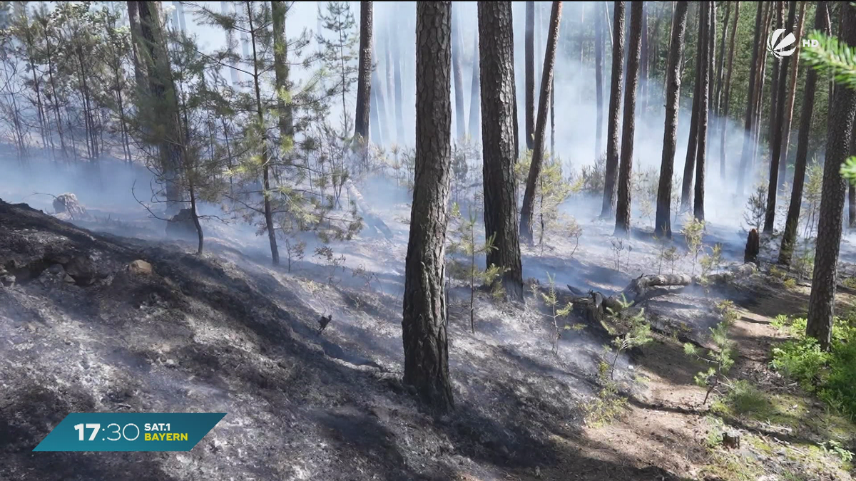 Waldbrand bei Wendelstein: 8.000 Quadratmeter in Flammen