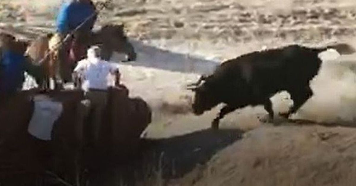 Tragödie in Spanien: Stier tötet einen Zuschauer bei Hatz