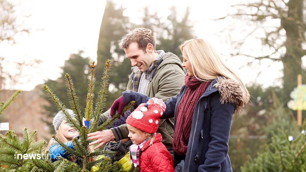 Oh Tannenbaum: Tipps fürs Auswählen der richtigen Weihnachtstanne