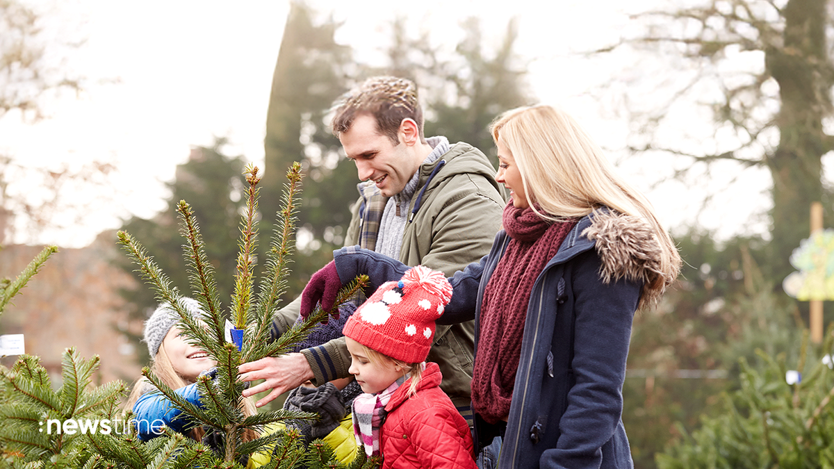 Oh Tannenbaum: Tipps zum Auswählen der richtigen Weihnachtstanne auswählen