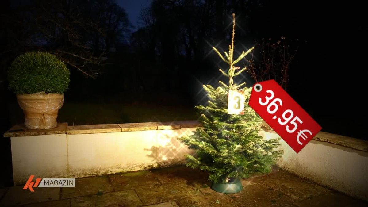 Weihnachtsbaum