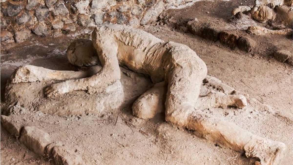 Forscher entschlüsseln erstmals Genom eines Mannes aus Pompeji