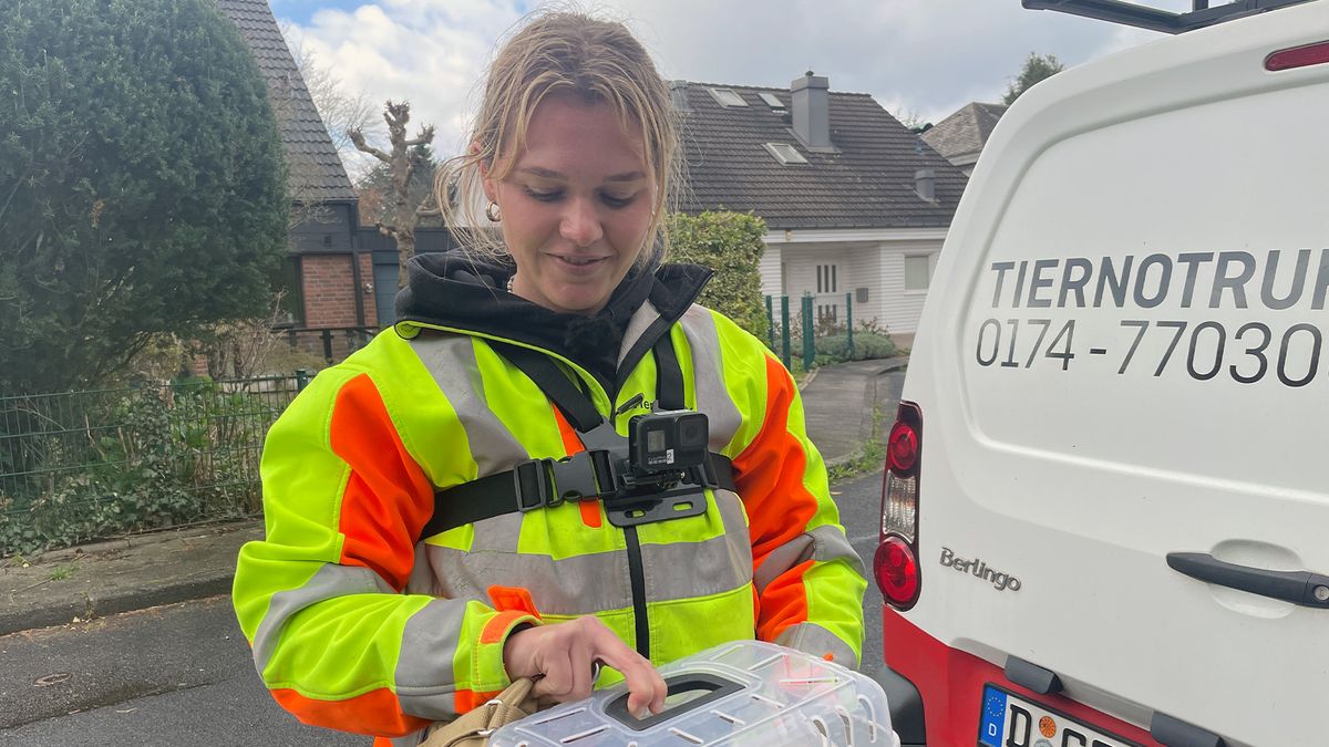 Thema u. a.: Tierretterin Coco und Tuningkontrolle Hildesheim