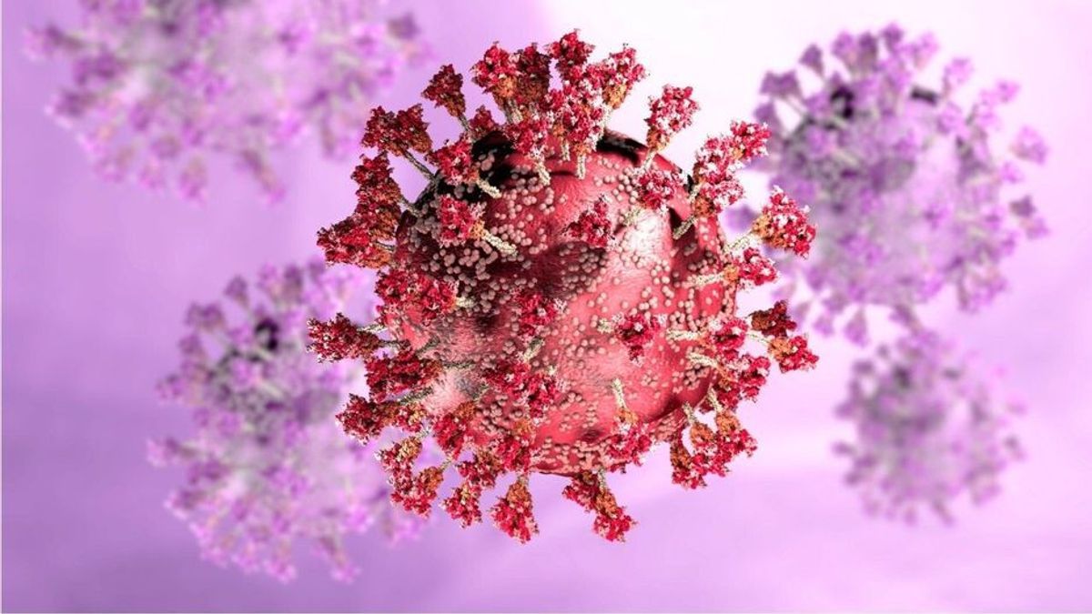 Düstere Knallhart-Prognose: Virologin sicher - "Gegen Omikron kann man nicht Impfen!"