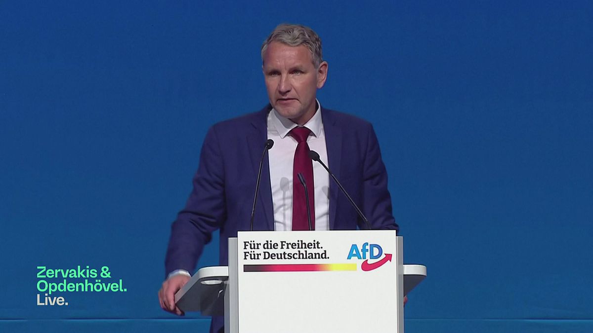 Wie gefährlich ist die AfD?