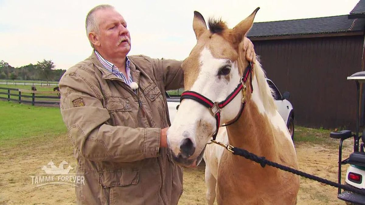 Neues vom Hankenhof - Tamme forever