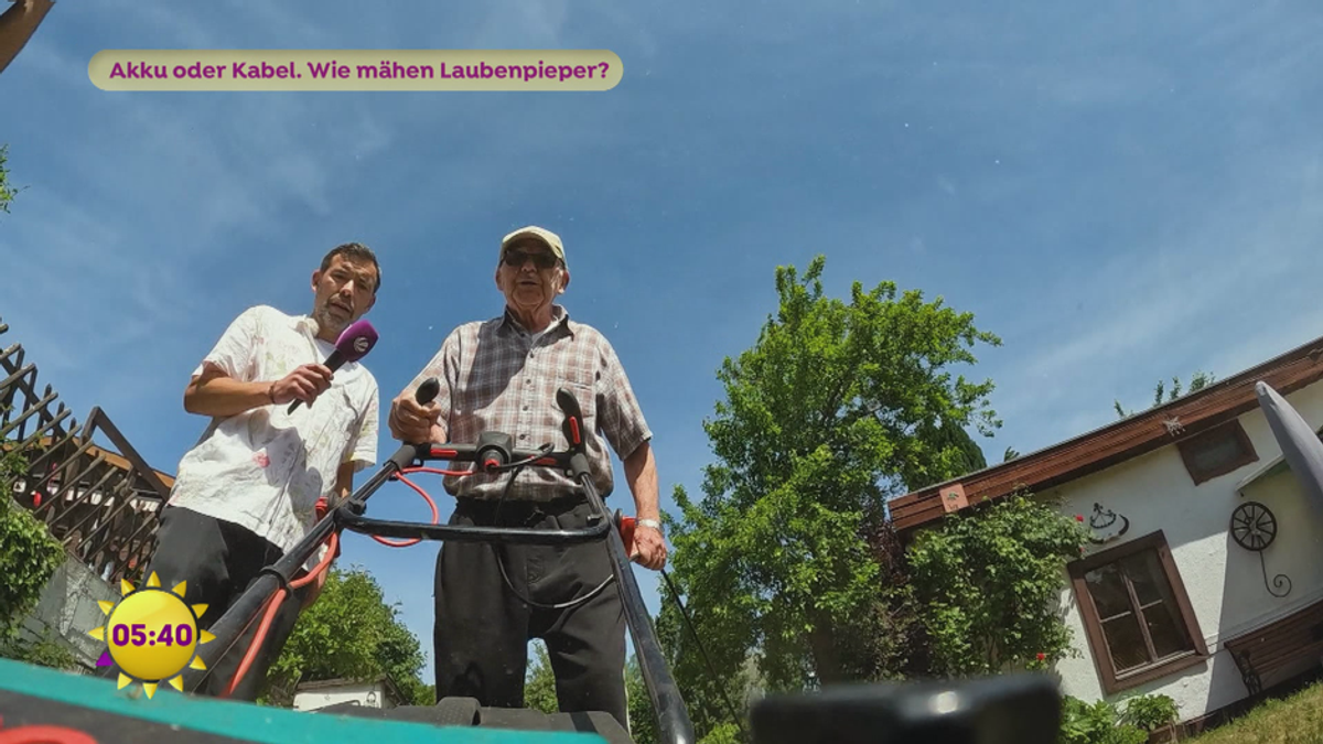 Rasenmäher: Akku oder Kabel?