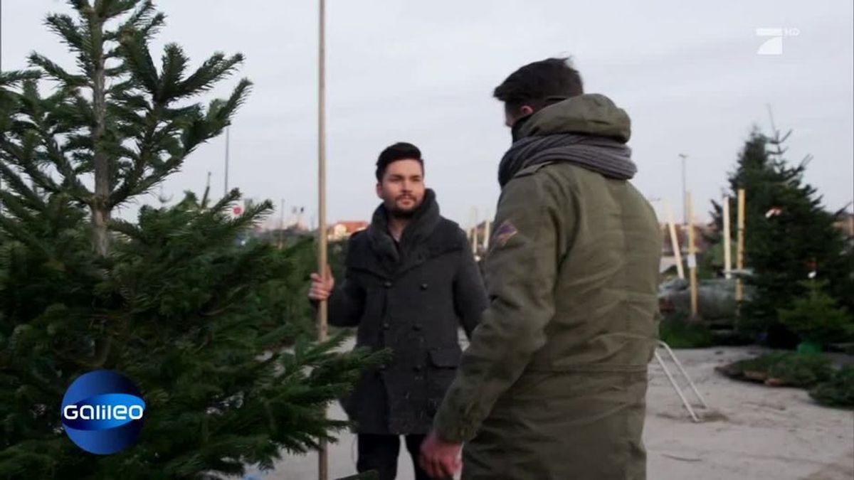 Das große Galileo Weihnachtsspezial