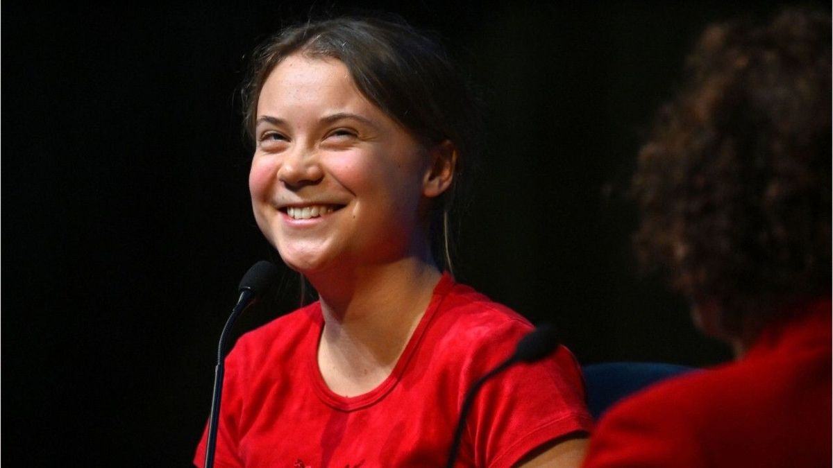 Konter gegen Ex-Kickboxer: Hier geht Greta Thunberg unter die Gürtellinie