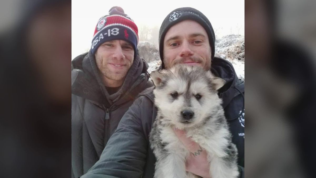 Olympia-Athlet Gus Kenworthy rettet 90 Hunde – und bekommt Kritik