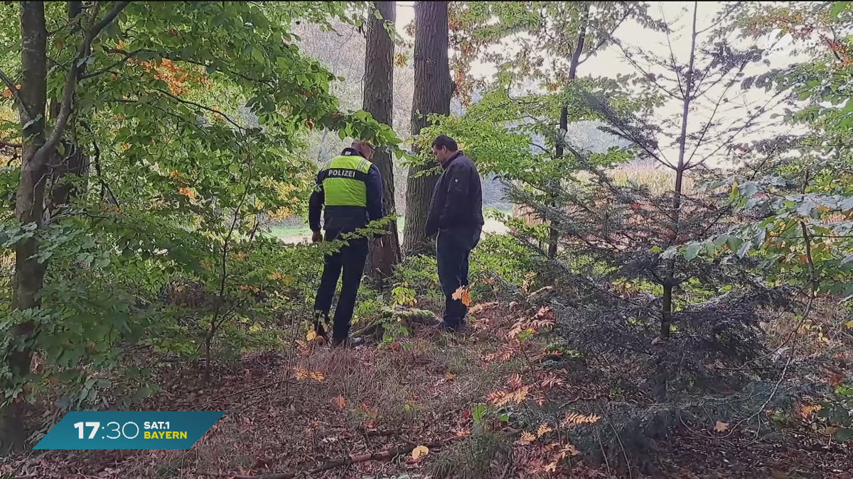 Schockierender Fund in Fürstenzell: Spaziergänger entdeckt menschliche Überreste