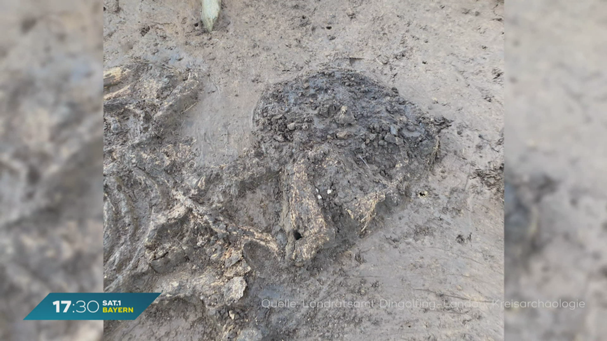 Bei Bauarbeiten in Exing: 6.500 Jahre altes Skelett gefunden