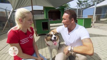 Jochen Bendel vermittelt liebenswürdige Tiere