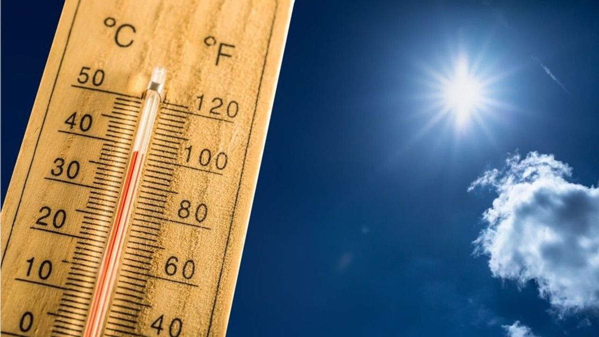 Immer mehr Hitzetote in Deutschland: Warum die Sterbezahlen schwer zu erfassen sind