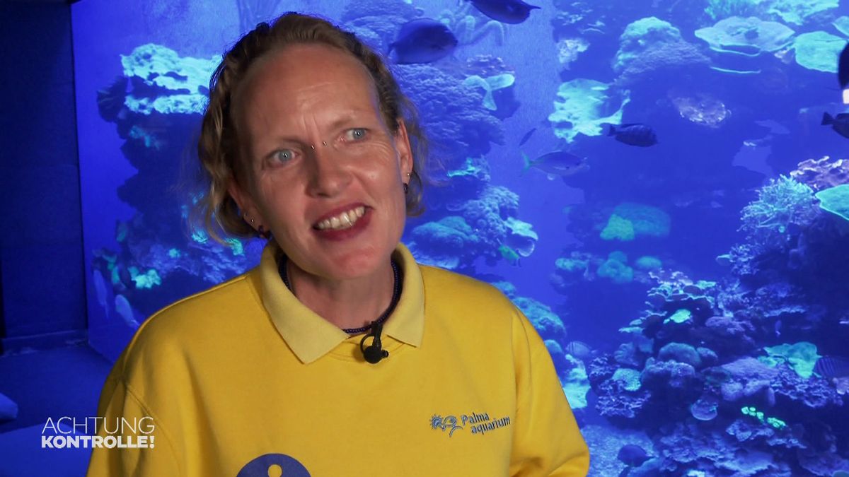 Veronikas Lieblinge: Kraken-Fütterung im Palma Aquarium