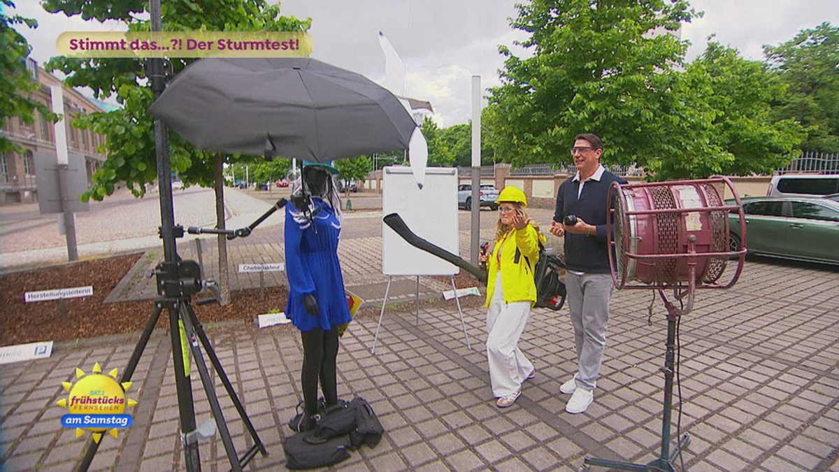 Stimmt das…?! Der Sturmtest!