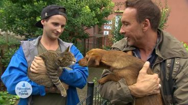 Jochen Bendel begleitet schwere Schicksale liebenswürdiger Tiere