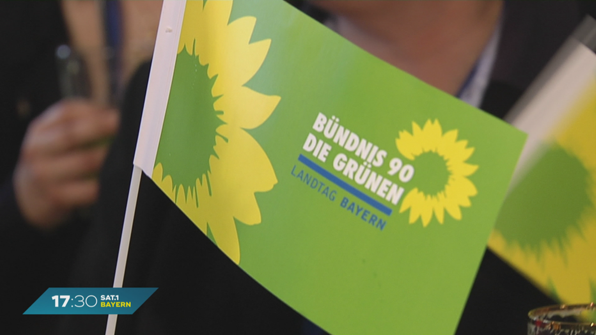 Bündnis 90 die Grünen bei Europawahl: Forderungen für mehr Umweltschutz