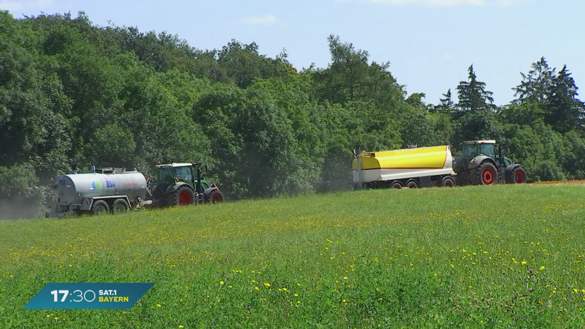 Bauern als neue Feuerwehr? Landwirt-Hilfe bei Waldbränden