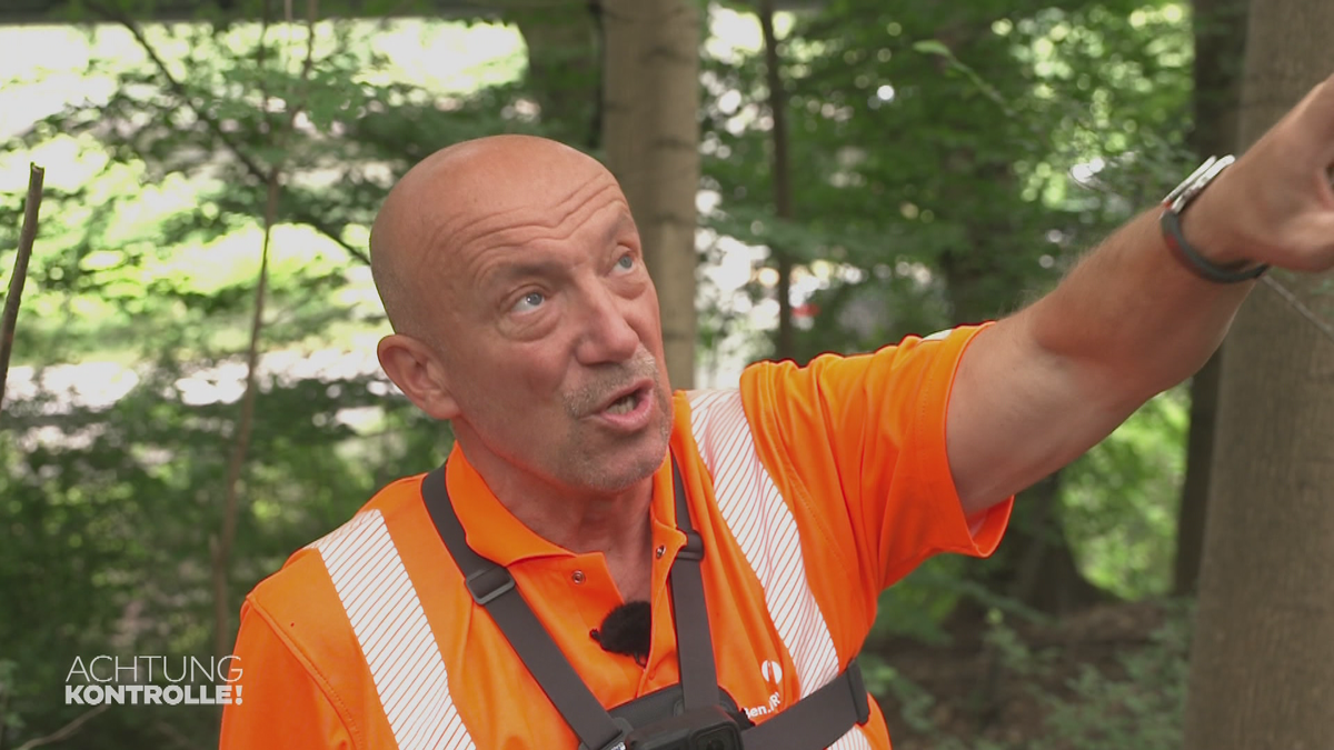 Kranker oder gesunder Baum? - Straßenwärter in Sollingen