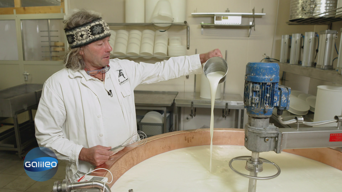 Der perfekte Bergkäse: Idyllische Käse-Alm vs. Hightech-Käserei
