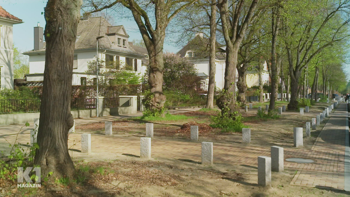 Steuerverschwendung? In Lübeck wird eine Straße wie ein Friedhof hergerichtet