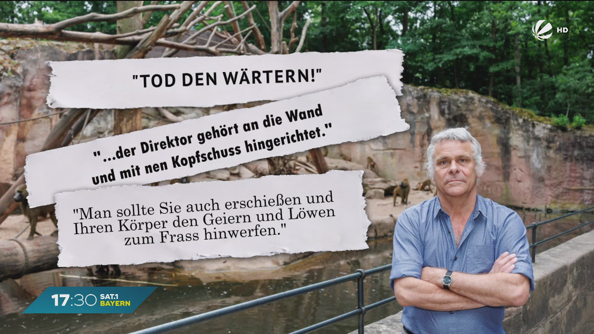 Tote Paviane im Tiergarten Nürnberg: Morddrohungen gegen Zoodirektor