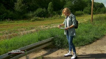 Verloren in der Wildnis