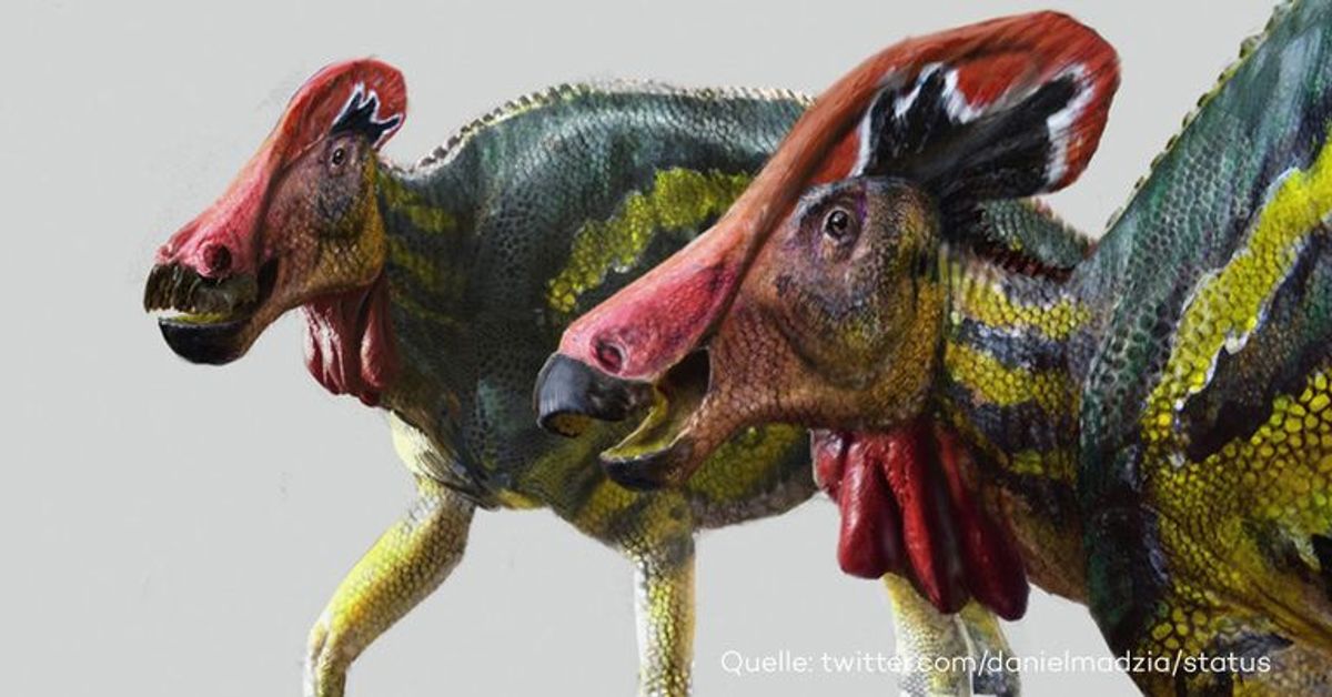 Tlatolophus galorum: Wissenschaftler entdecken neue Dinosaurierart