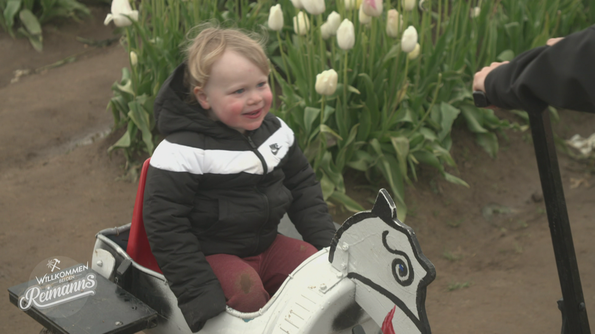 Familienausflug mit Tulpen-Kollateralschaden